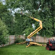 Best Hedge Trimming  in East Atlantic Beach, NY